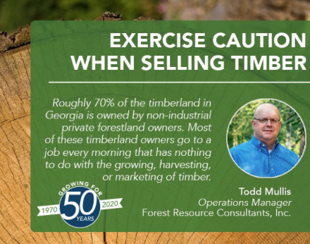 Exercise Caution When Selling Timber