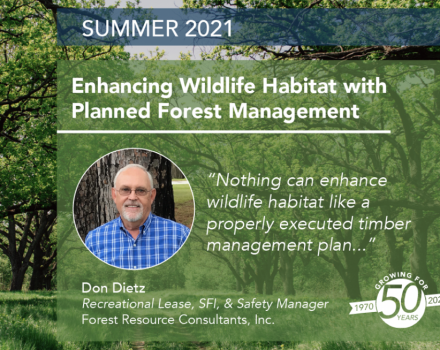 Enhancing Wildlife Habitat with Planned Forest Management