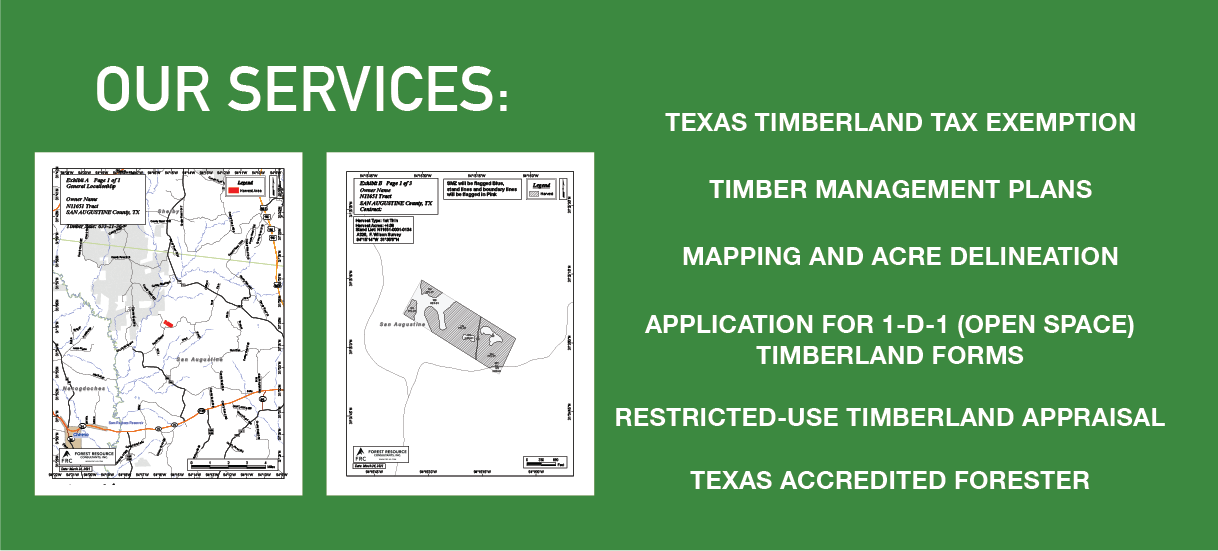 Timberland Management Services