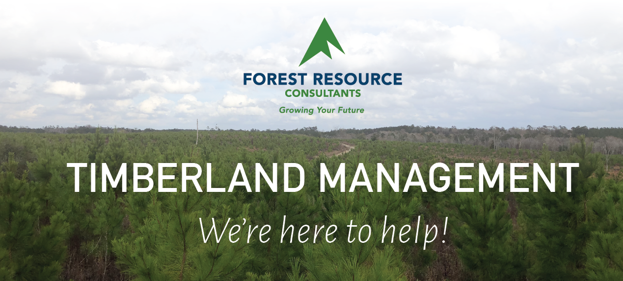 Timberland Management