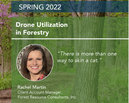 Drone Utilization in Forestry