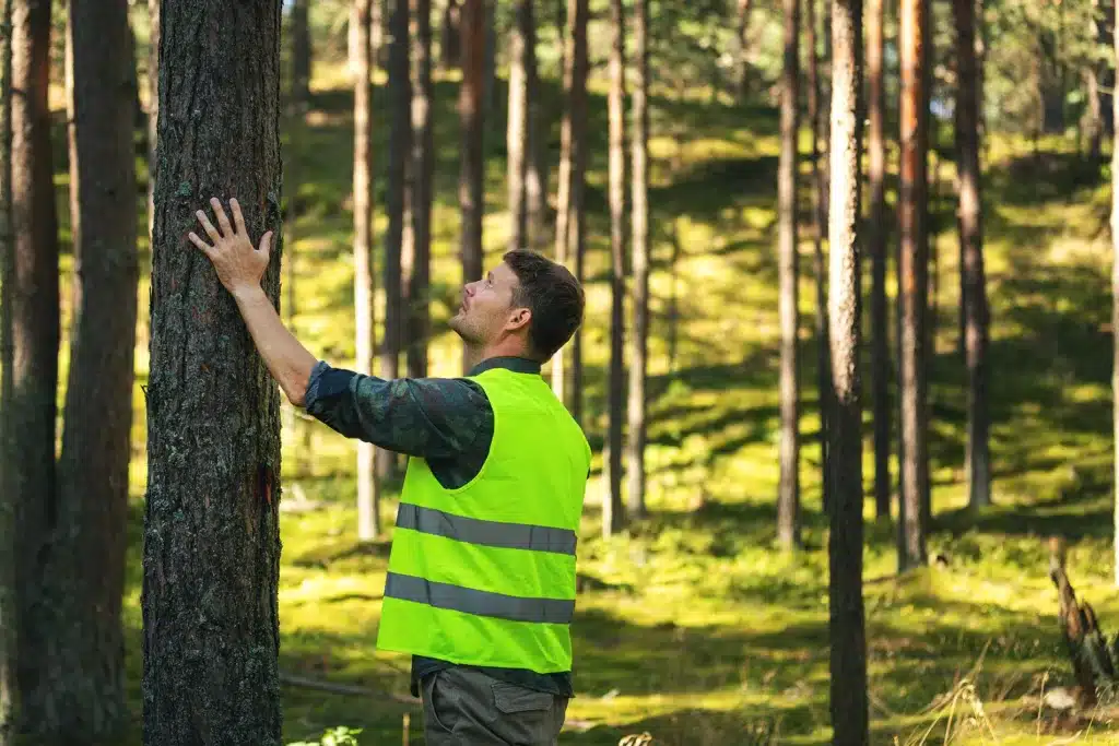 Arkadelphia, AR forestry consultants, Forest Consultants in Macon