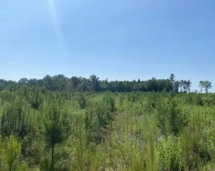 IMG_8668