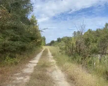 Dogwood Acres