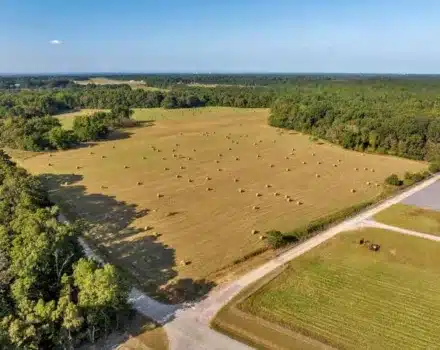 c07-DJI_20231003164805_0059_D