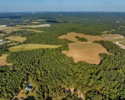 c11-DJI_20231003170215_0101_D