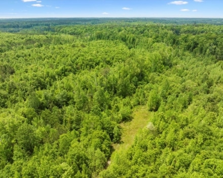 06-DJI_20240420133604_0348_D
