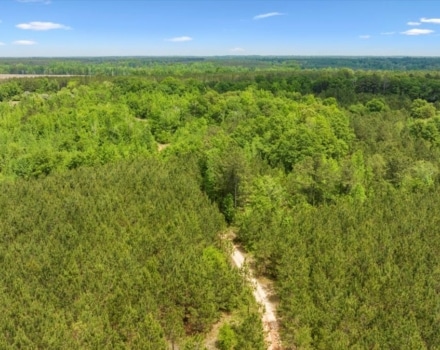 07-DJI_20240420133523_0338_D
