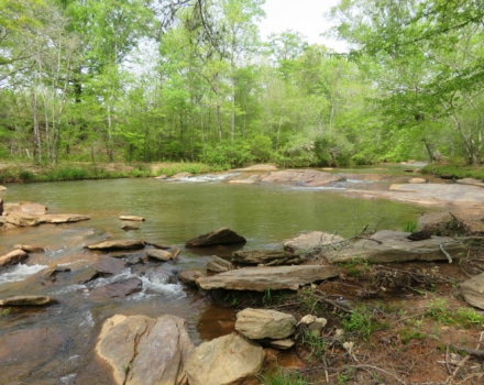 Lazer Creek Tract Swim hole