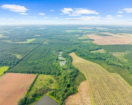 Muckaloochee Creek South Tract