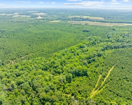 69-Tract E 170 (13)