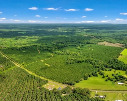 Old Macon Road Tract Pic