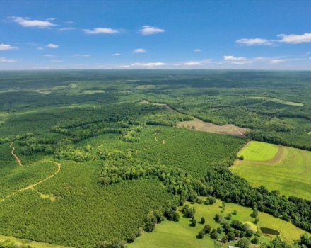 Old Macon Road Tract Pic