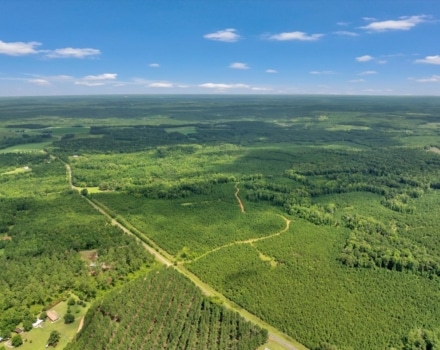 Old Macon Road Tract Pic