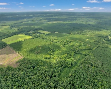 Old Macon Road Tract Pic