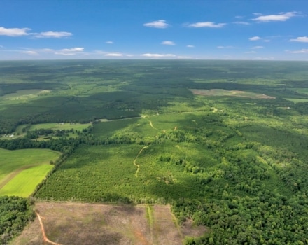 Old Macon Road Tract Pic