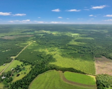 Old Macon Road Tract Pic