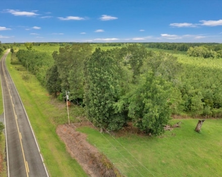 Old Macon Road Tract Pic