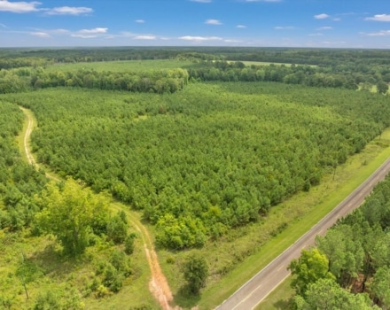 Old Macon Road Tract Pic