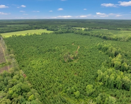 Old Macon Road Tract Pic
