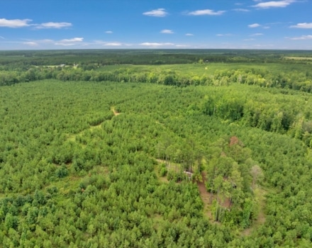 Old Macon Road Tract Pic