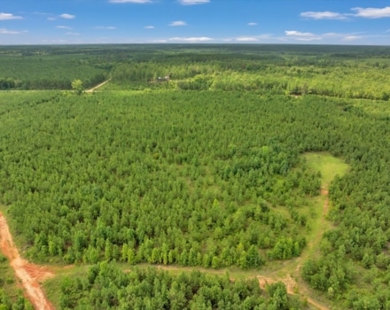 Old Macon Road Tract Pic