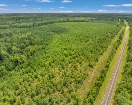 Old Macon Road Tract Pic