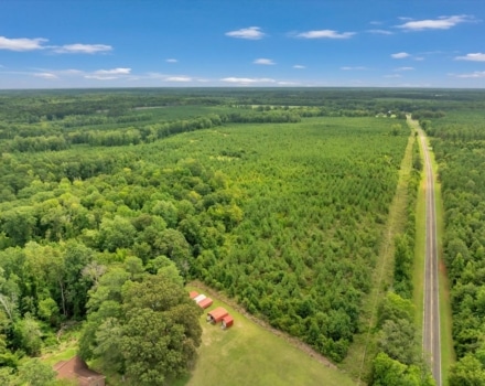 Old Macon Road Tract Pic