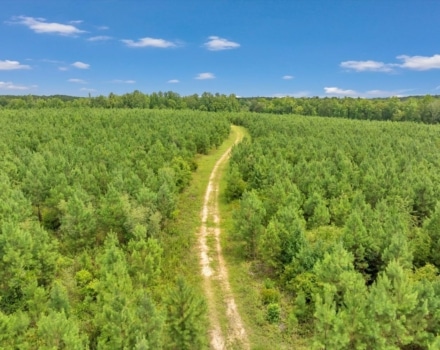 Old Macon Road Tract Pic