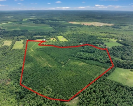 Reagan Tract Pic