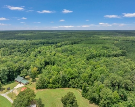 Reagan Tract Pic
