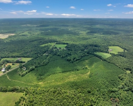 Reagan Tract Pic