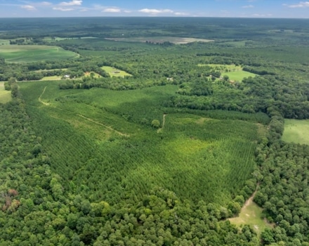 Reagan Tract Pic