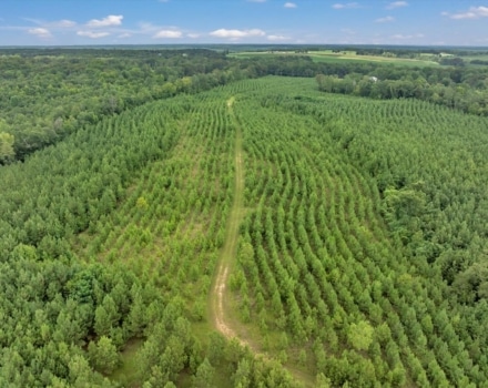 Reagan Tract Pic
