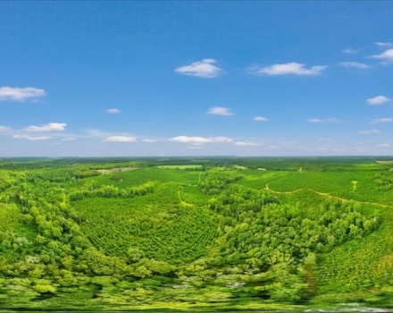 Reagan Tract Pic