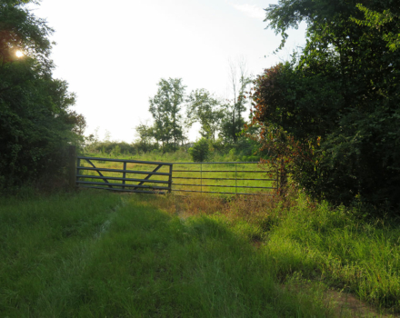 County Line Road Tract