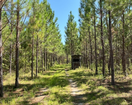 Layson Tract