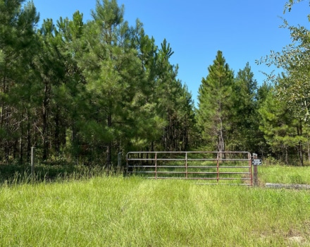 Layson Tract