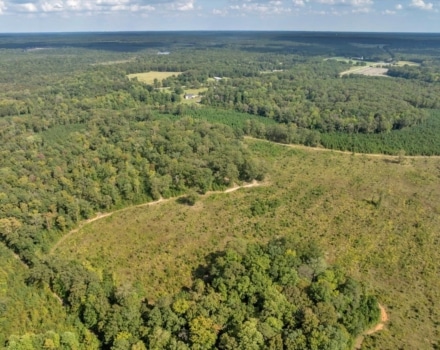 025-DJI_20240924153109_0334_D