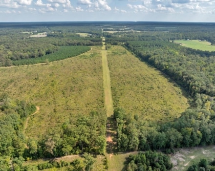 026-DJI_20240924153546_0356_D