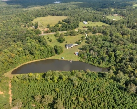 028-DJI_20240924153446_0351_D