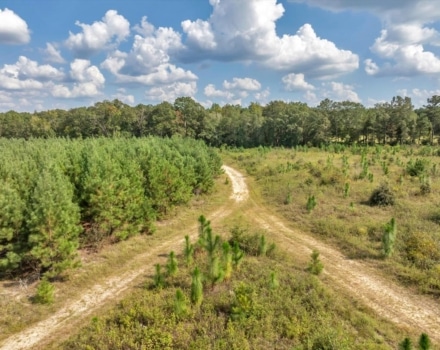 039-DJI_20240924153748_0372_D