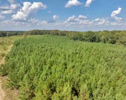 043-DJI_20240924153811_0382_D