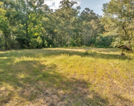 060-DJI_20240924163548_0537_D