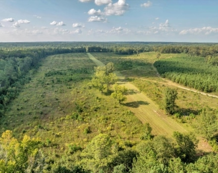 074-DJI_20240924162833_0516_D