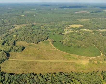 075-DJI_20240924164950_0580_D