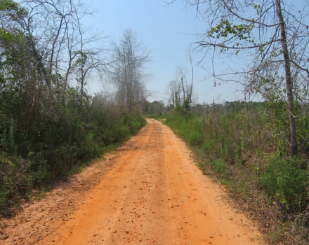 Burginville Road Tract B