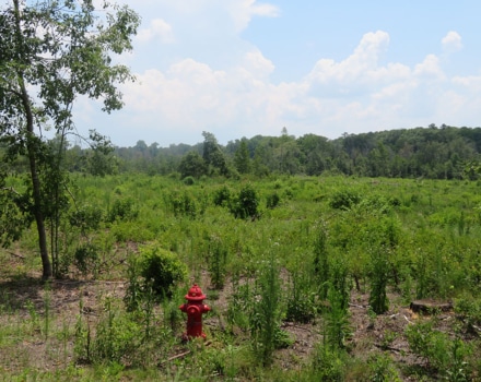 Goolsby Road Tract E