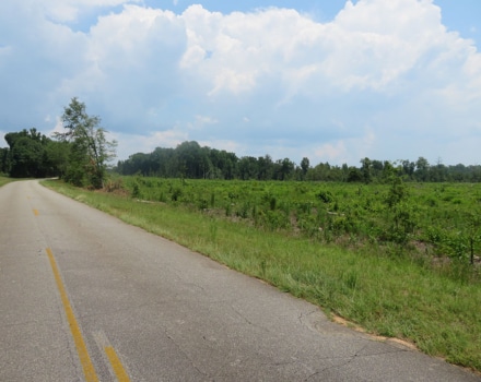 Goolsby Road