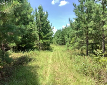 Highway 280 West Tract